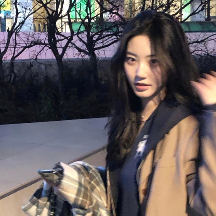 花园精灵